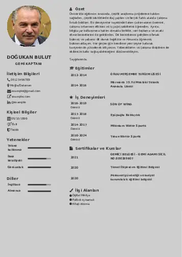 cv indir